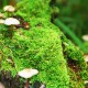 世界体能挑战赛：体适能评估体系被更多队伍采纳，体适能锦标赛