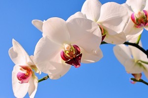 世界乒坛明星教练国际巡讲第4季城市名单公布，世界乒乓球教练